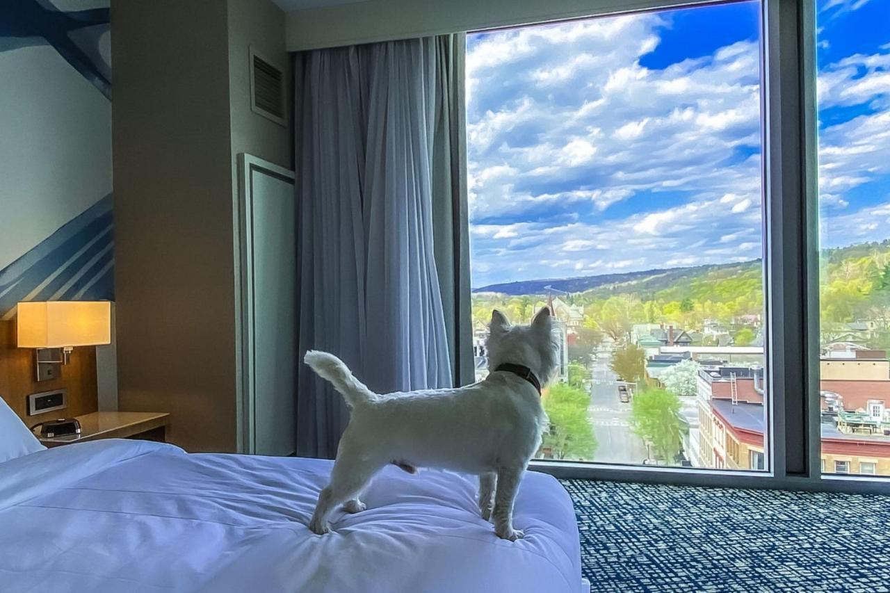 Ithaca Marriott Downtown On The Commons Hotel Bagian luar foto
